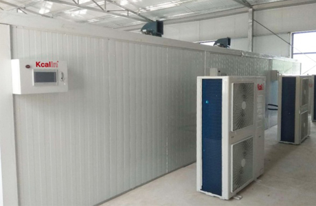 New Choice for Fruit Drying: Air Source Heat Pump