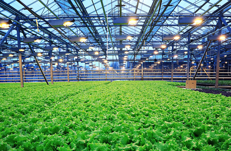 Greenhouse air source heat pump heating system hel