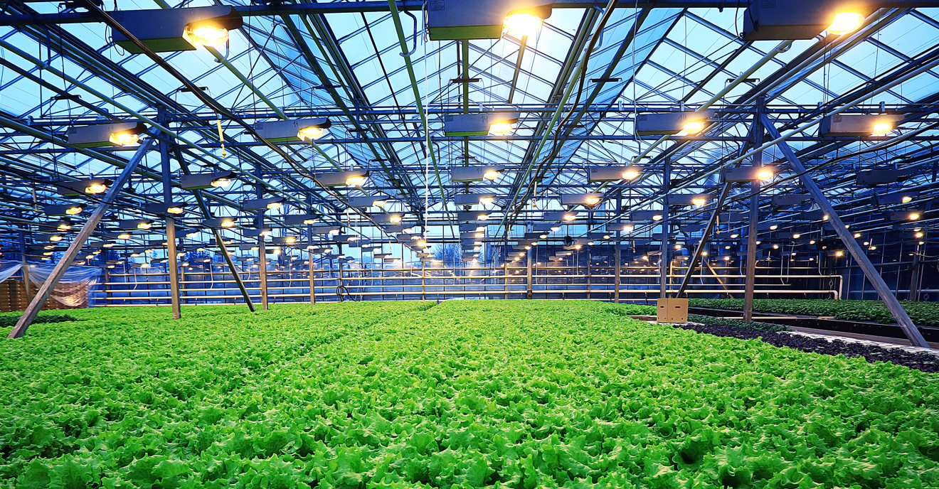 New Era of Efficient Planting: Application of Air Energy Heat Pump in Agricultural Greenhouses