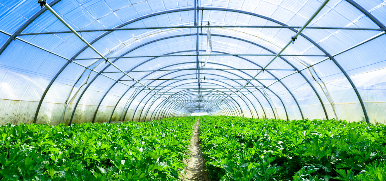 Glass greenhouse winter heating facilities, creating an ideal agricultural production environment