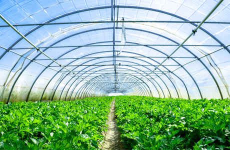 Glass greenhouse winter heating facilities, creati